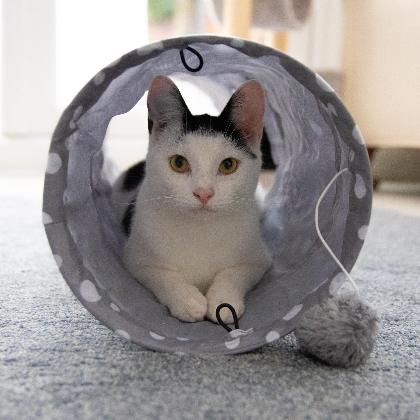 Jolly Moggy Pop Up Cat Tunnel β Crinkle Toy with Plush Ball & Catnip (90cm)