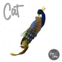 Ancol Peacock Cat Toy – 29cm Catnip Plush with Textures