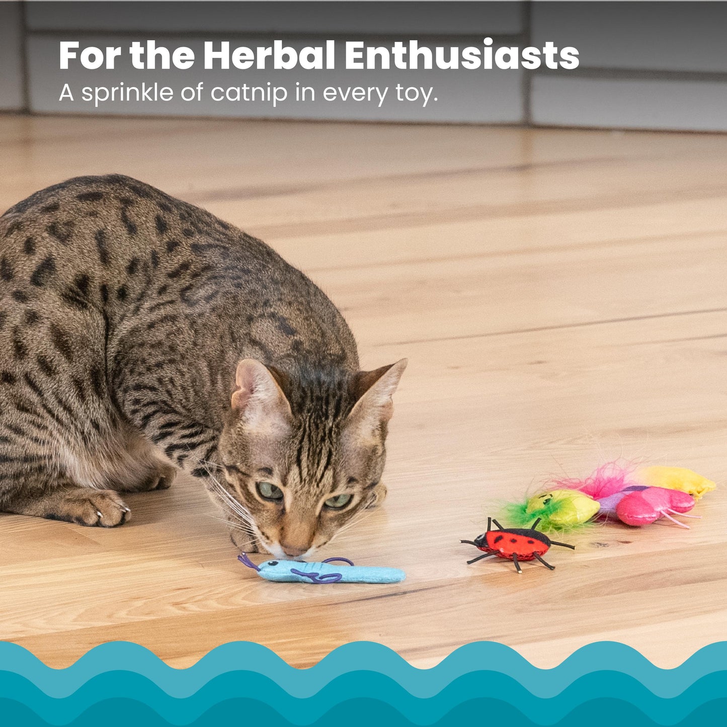 Nina Ottosson Catstages Cute as a Bug Cat Toy 6 Pack