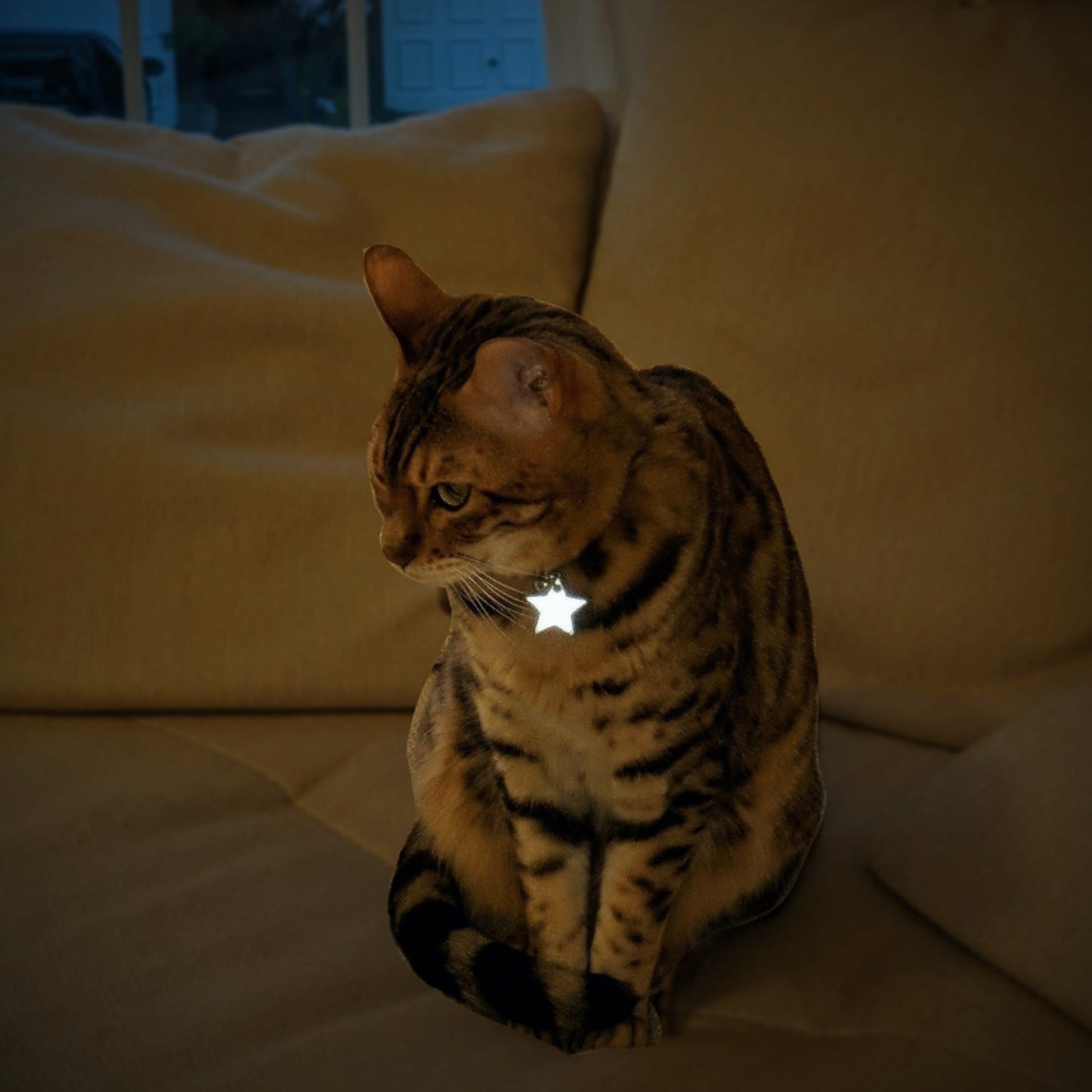 KITTYRAMA STAR CAT CHARM – Reflective, Safe, High Visibility